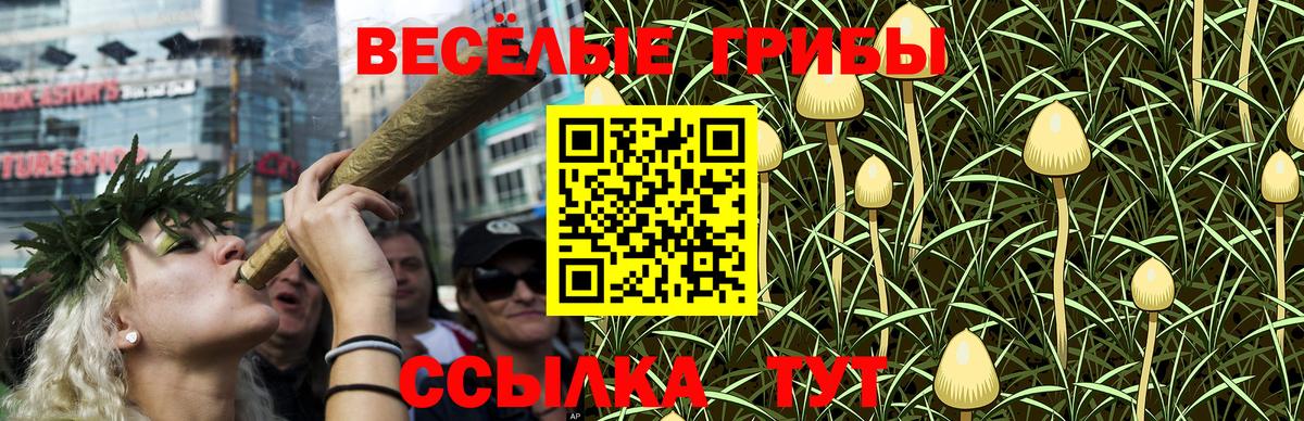 Галлюциногенные грибы GOLDEN TEACHER Алапаевск